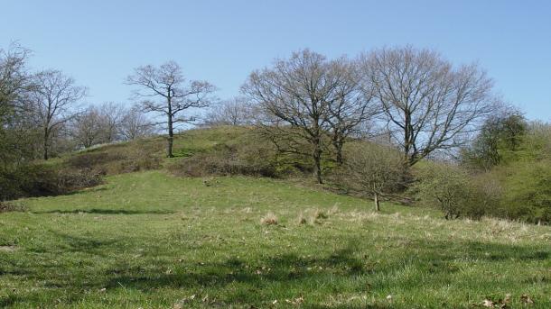 Frøbjerg Bavnehøj