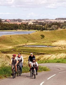 bike tours