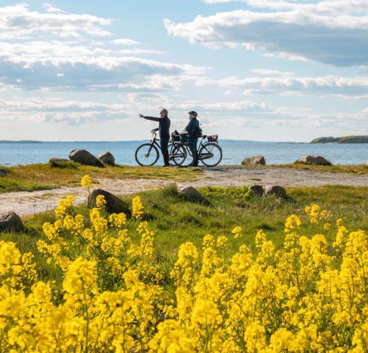 vestfyn cykelferie strand og natur