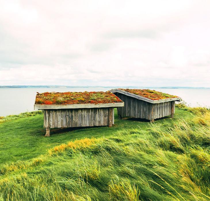 Oplev forår i Assens Kommune